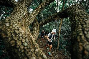 BIB: 
                            <button type="button" onclick="openModal(25393334)" class="btn btn-primary btn-sm float-right btn-popup" data-toggle="modal" data-target=".modal-high-quality">
                        <i class="fas fa-shopping-cart"></i> Add to Cart
                    </button>
                                            <button type="button" onclick="isThisMe(25393334, true)" class="btn btn-success btn-sm float-right btn-popup btn-isme hidden" data-toggle="tooltip" data-placement="bottom" title="นี่คือรูปของคุณใช่ไหม คลิกที่นี่เพื่อเอาเข้าอัลบั้ม">
                        <i class="fas fa-plus"></i> Add to album
                    </button>
                    <button type="button" onclick="isThisMe(25393334, false)" class="btn btn-warning btn-sm float-right btn-popup btn-isnotme hidden">
                        <i class="fas fa-ban"></i> Remove from album
                    </button>